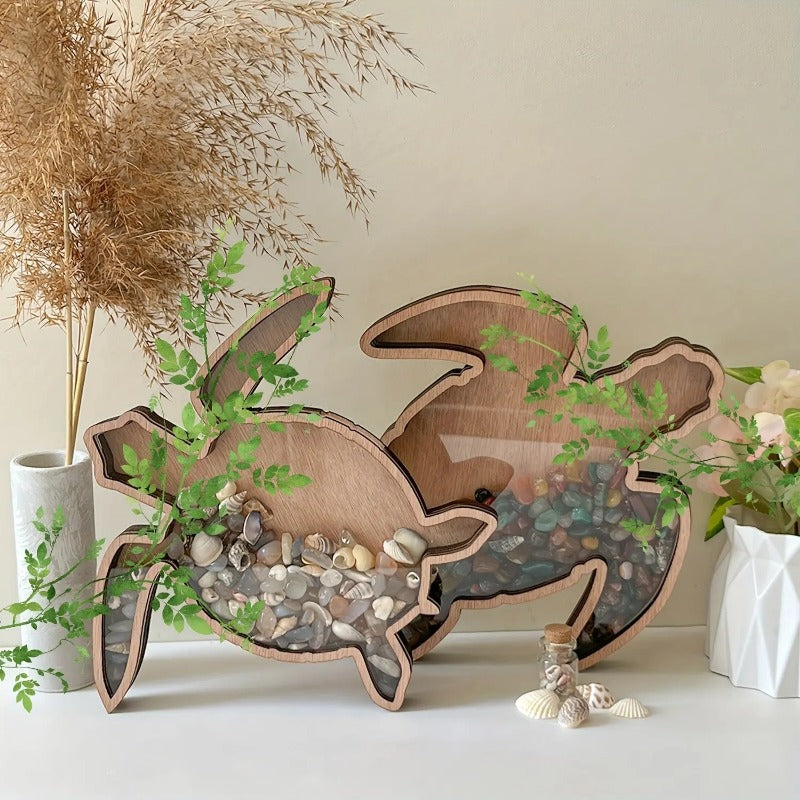 Ocean-Themed Shell Display Frame