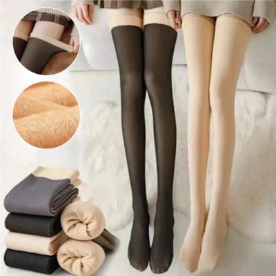 Women's Over-the-Knee Fleece-Lined Stockings