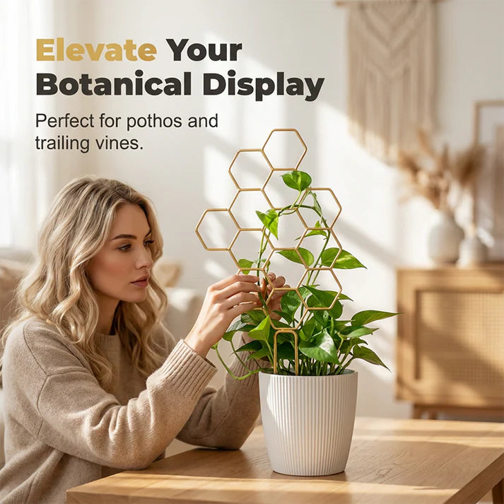 Honeycomb Plant Trellis for Climbing Plants