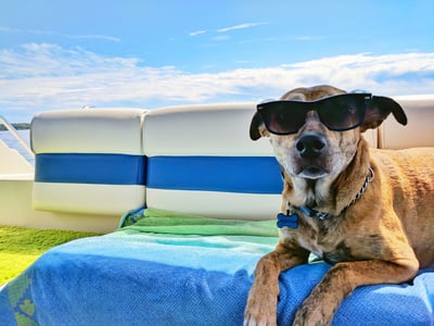 Pet Cooling Mat