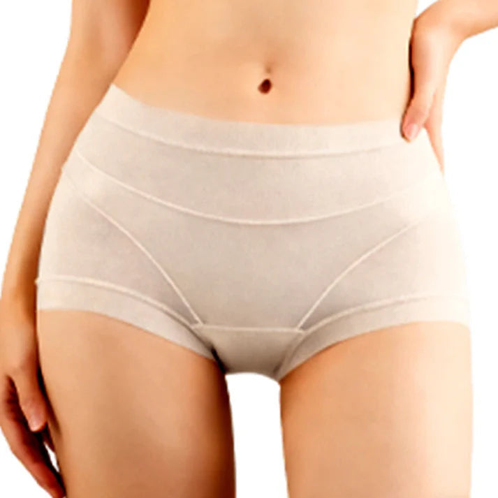 Women's Sheer Mesh Briefs
