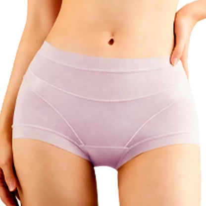 Women's Sheer Mesh Briefs