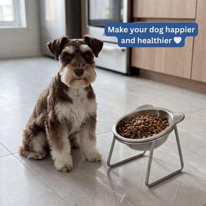 Elevated Dog Bowl Stand