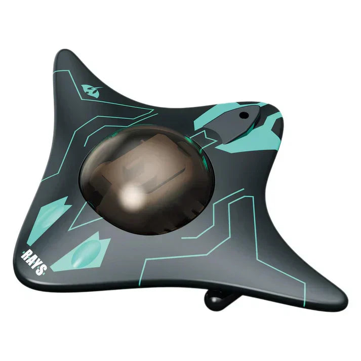 Remote Control Surface Explorer Drone