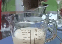 Stainless Steel Push Whisk
