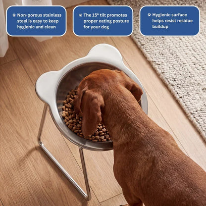 Elevated Dog Bowl Stand