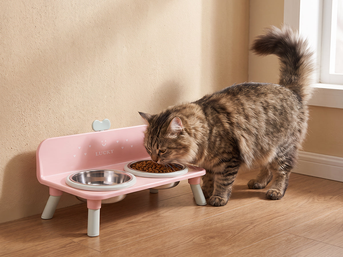 Elevated Double Pet Bowl Stand