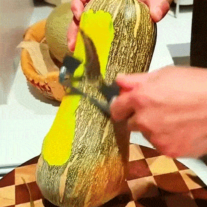Multi-Function Stainless Steel Vegetable Peeler Tool