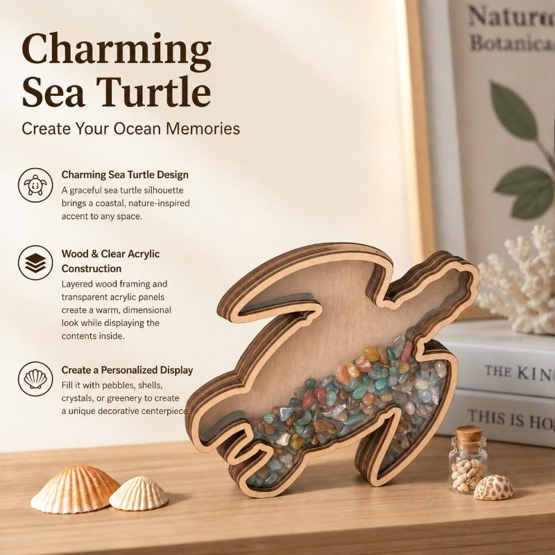 Ocean-Themed Shell Display Frame