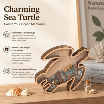 Ocean-Themed Shell Display Frame