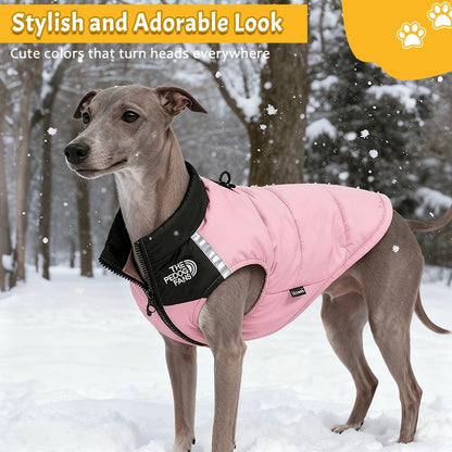 Dog Winter Coat With High Collar