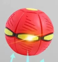 Doggy Disc Ball