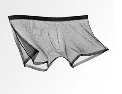 Men's Sheer Mesh Boxer Briefs