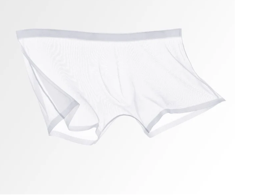 Men's Sheer Mesh Boxer Briefs