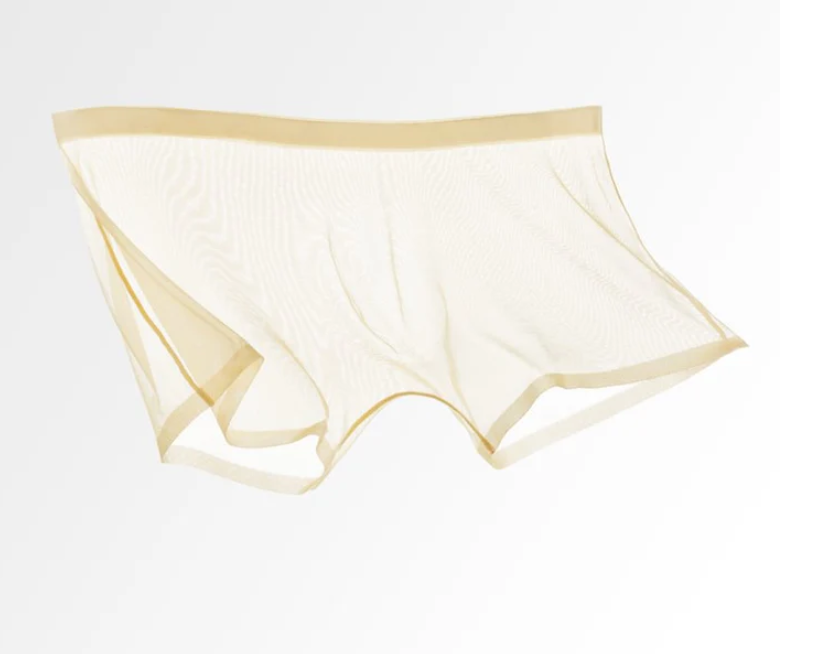 Men's Sheer Mesh Boxer Briefs
