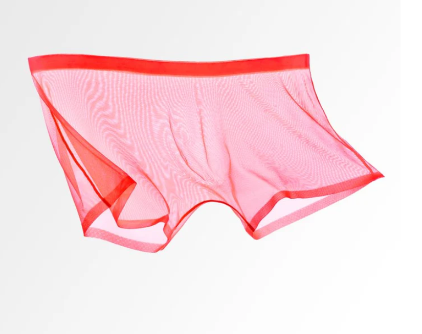 Men's Sheer Mesh Boxer Briefs