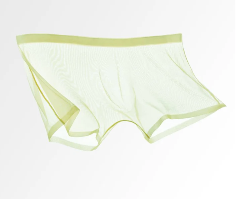 Men's Sheer Mesh Boxer Briefs