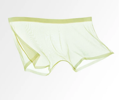 Men's Sheer Mesh Boxer Briefs