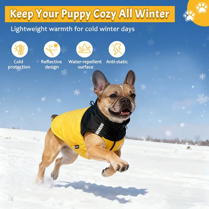 Dog Winter Coat With High Collar