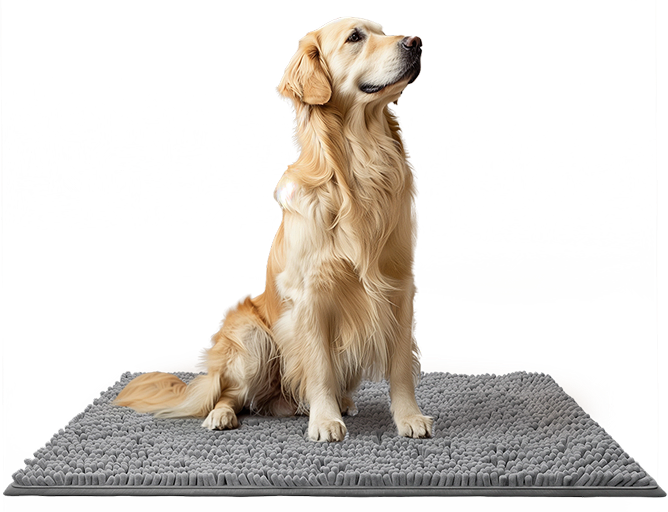 Ultra-Absorbent Plush Pet Mat