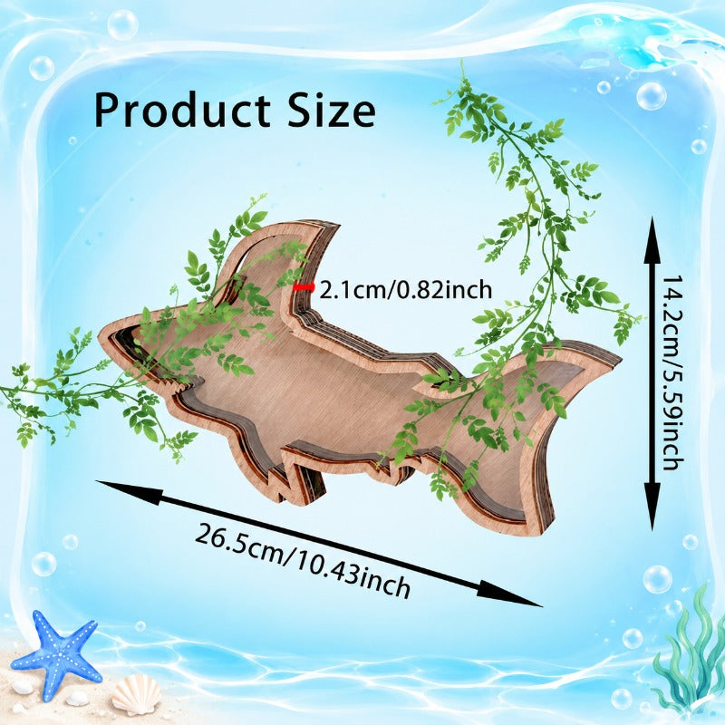 Ocean-Themed Shell Display Frame