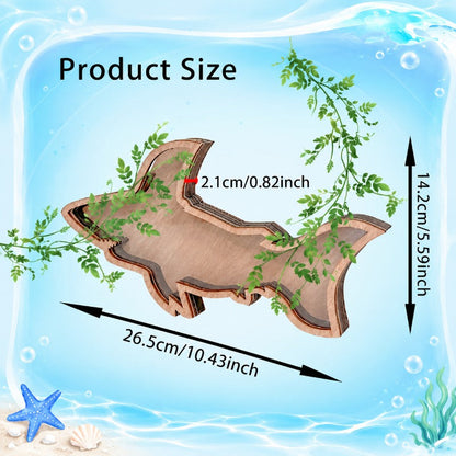 Ocean-Themed Shell Display Frame