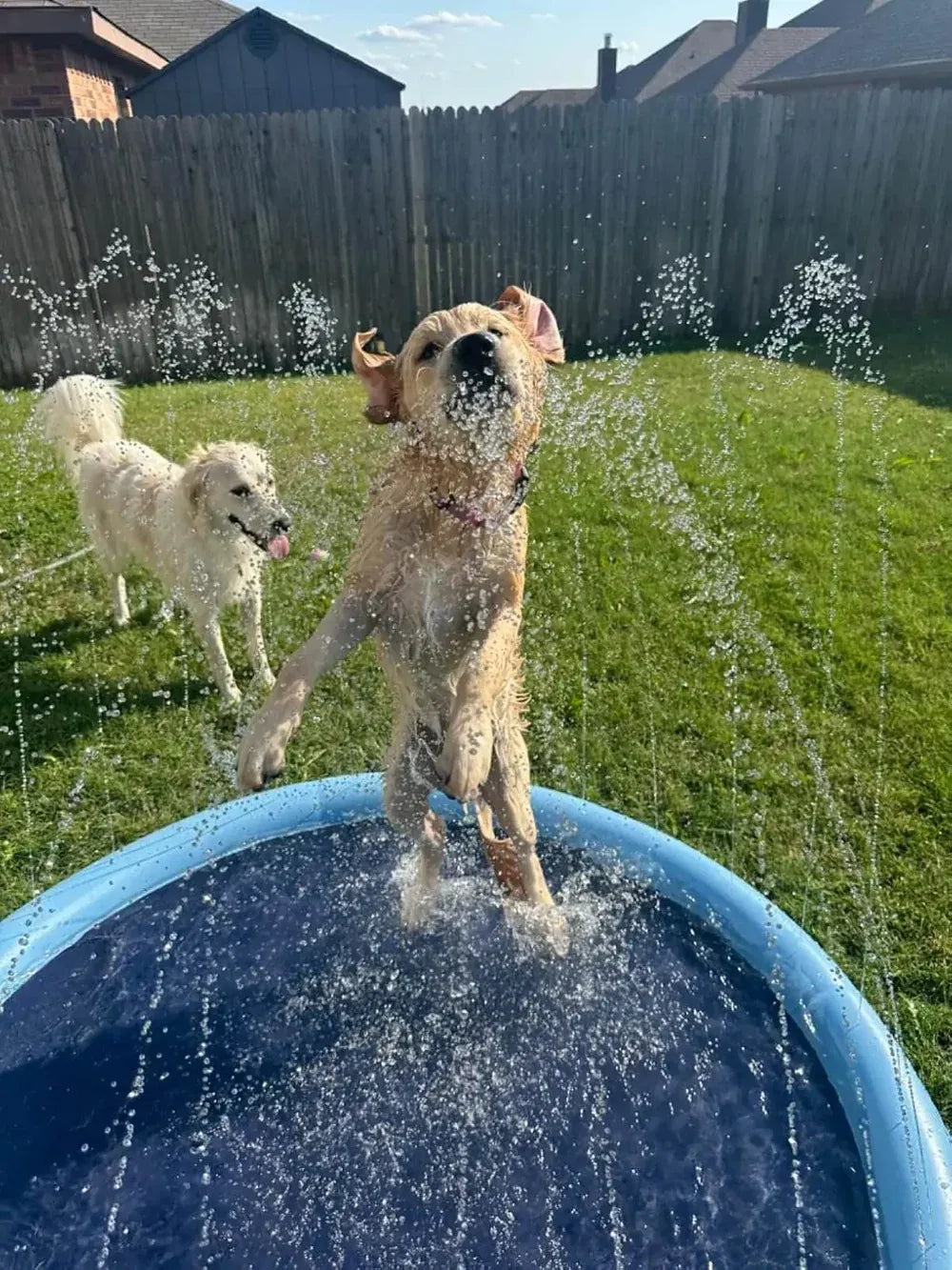 Pet Splash Pad Sprinkler Play Mat
