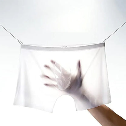 Men's Sheer Mesh Boxer Briefs