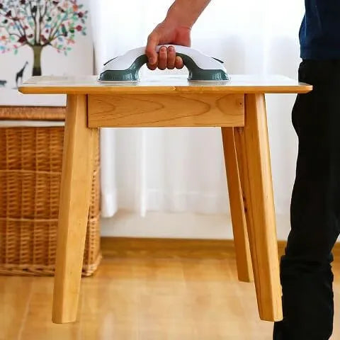 Suction Shower Support Handle