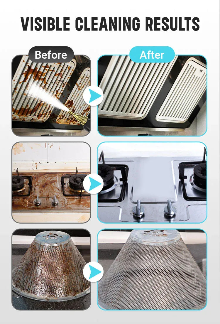 2500W Pressurized Steam Cleaner
