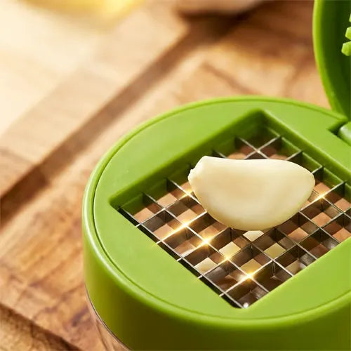 Mini Garlic Dicer with Storage Container