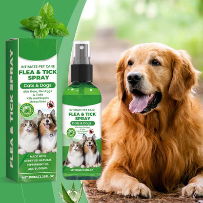 Flea &amp; Tick Spray for Dogs and Cats