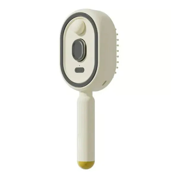 Electric Spray Air Cushion Hair Brush