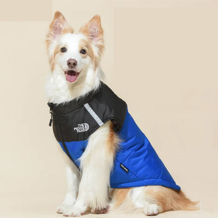 Dog Winter Coat With High Collar