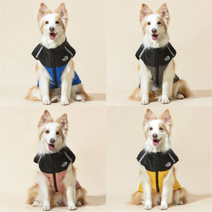 Dog Winter Coat With High Collar