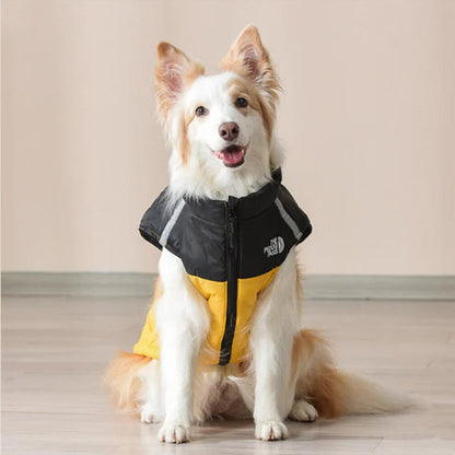 Dog Winter Coat With High Collar