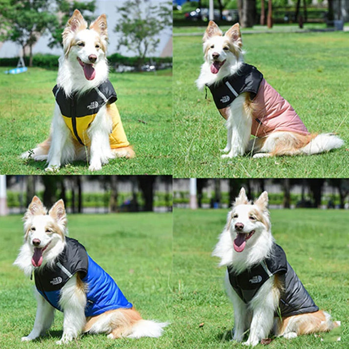 Dog Winter Coat With High Collar