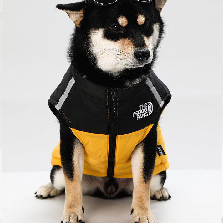 Dog Winter Coat With High Collar