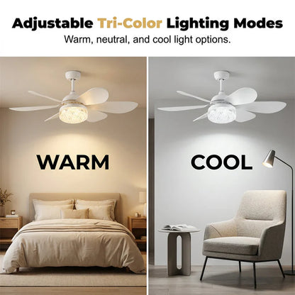 2-in-1 LED Ceiling Fan with Remote Control