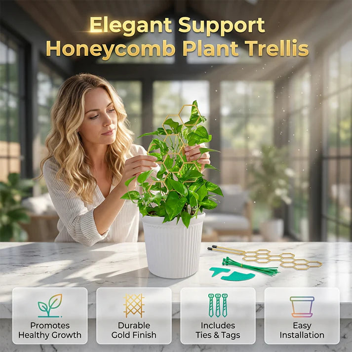 Honeycomb Plant Trellis for Climbing Plants