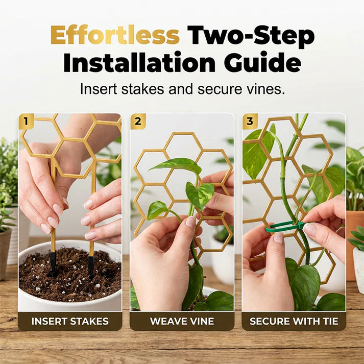 Honeycomb Plant Trellis for Climbing Plants