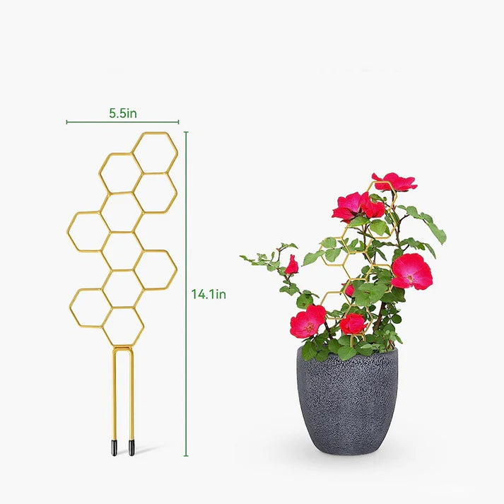 Honeycomb Plant Trellis for Climbing Plants