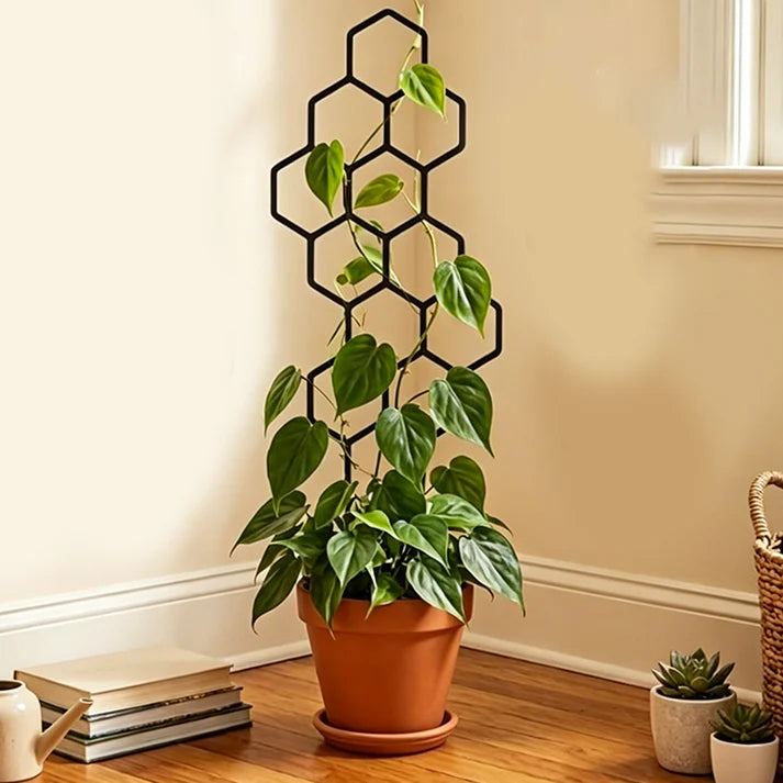Honeycomb Plant Trellis for Climbing Plants