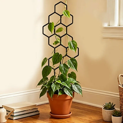 Honeycomb Plant Trellis for Climbing Plants