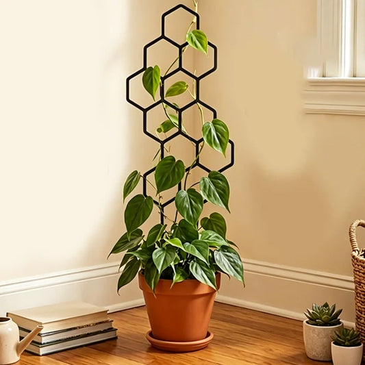 Honeycomb Plant Trellis for Climbing Plants