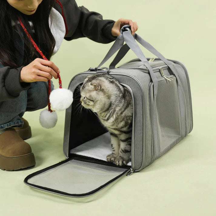 Pet Travel Carrier Bag with Mesh Viewing Panel