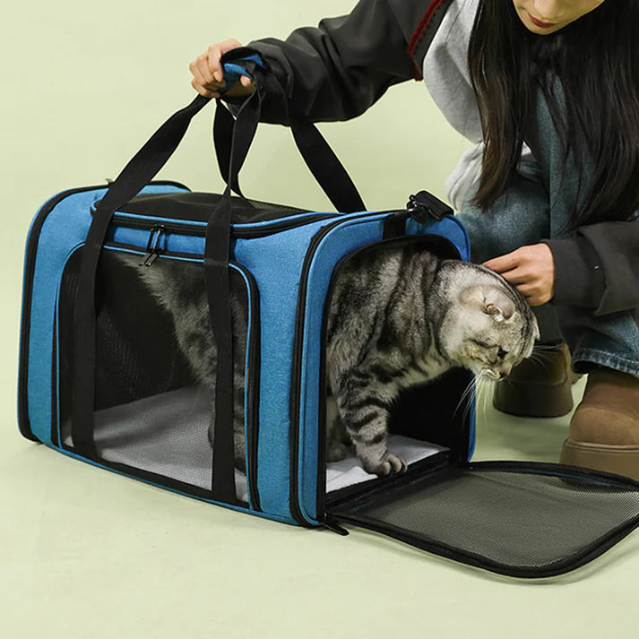 Pet Travel Carrier Bag with Mesh Viewing Panel
