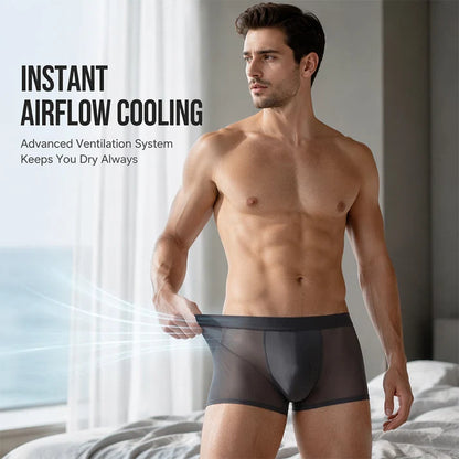 Men's Sheer Boxer Briefs 3-Pack