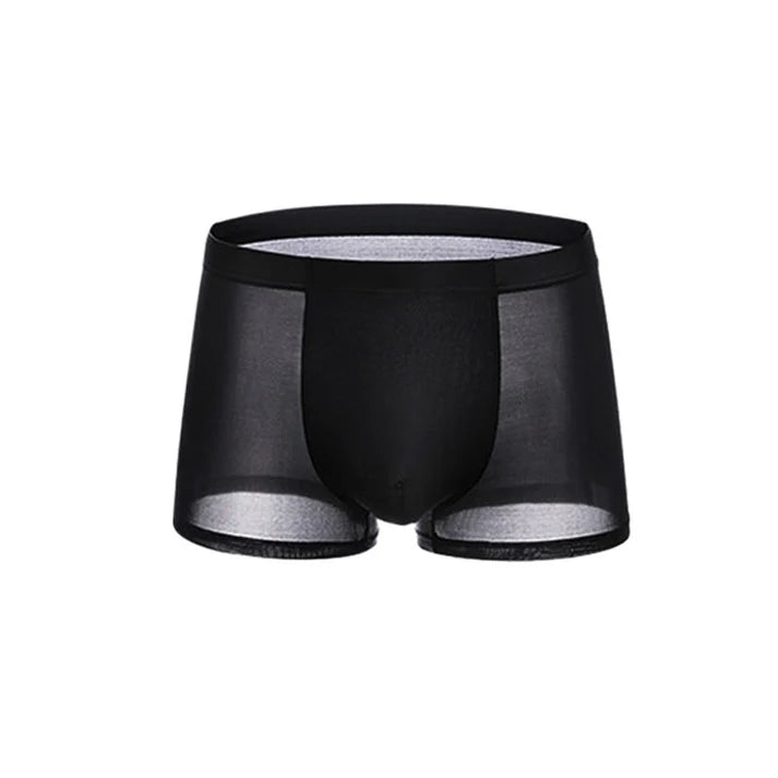 Men's Sheer Boxer Briefs 3-Pack