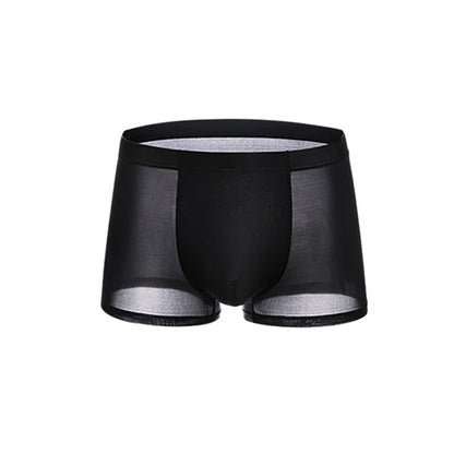 Men's Sheer Boxer Briefs 3-Pack